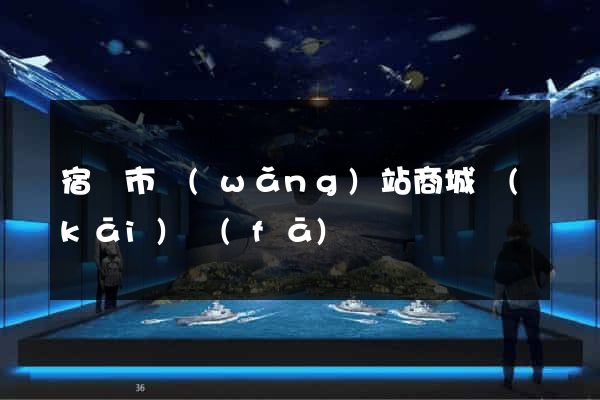 宿遷市網(wǎng)站商城開(kāi)發(fā)