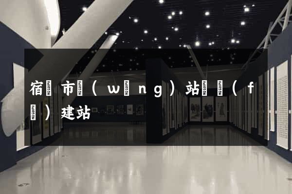 宿遷市網(wǎng)站開發(fā)建站