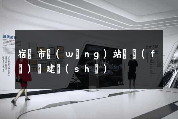 宿遷市網(wǎng)站開發(fā)與建設(shè)
