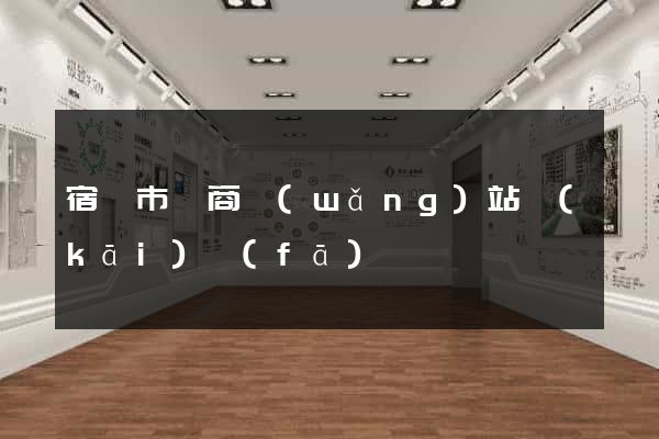 宿遷市電商網(wǎng)站開(kāi)發(fā)