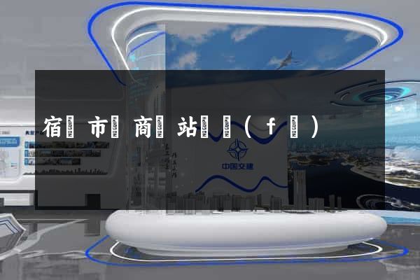 宿遷市電商網站開發(fā)