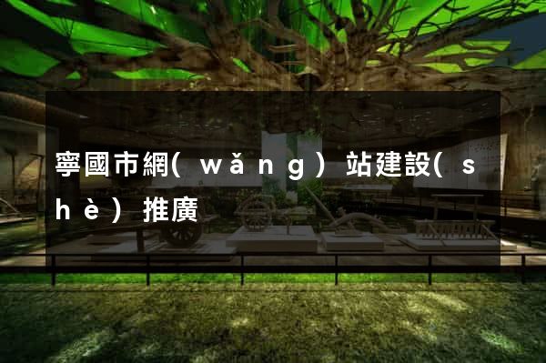 寧國市網(wǎng)站建設(shè)推廣