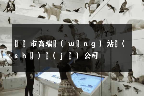 寧國市高端網(wǎng)站設(shè)計(jì)公司