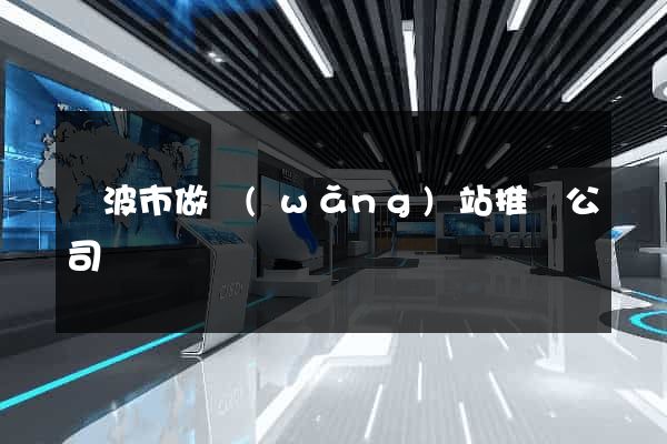 寧波市做網(wǎng)站推廣公司