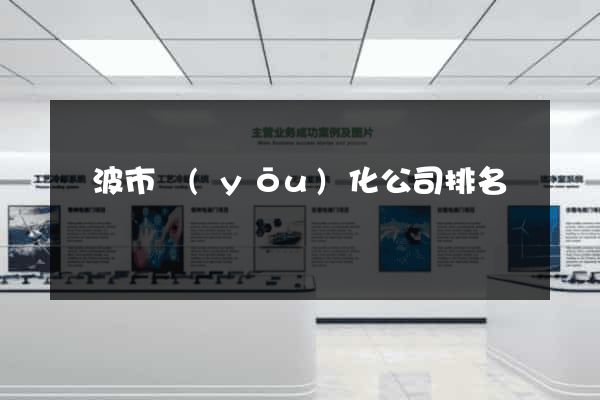 寧波市優(yōu)化公司排名