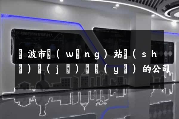 寧波市網(wǎng)站設(shè)計(jì)專業(yè)的公司