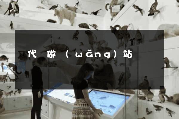 寫代碼做網(wǎng)站