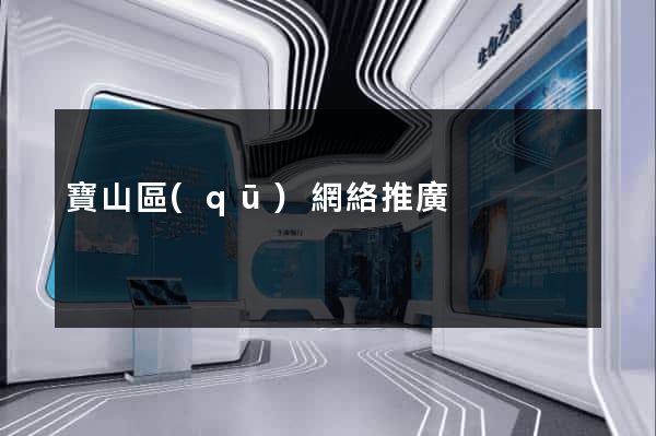 寶山區(qū)網絡推廣