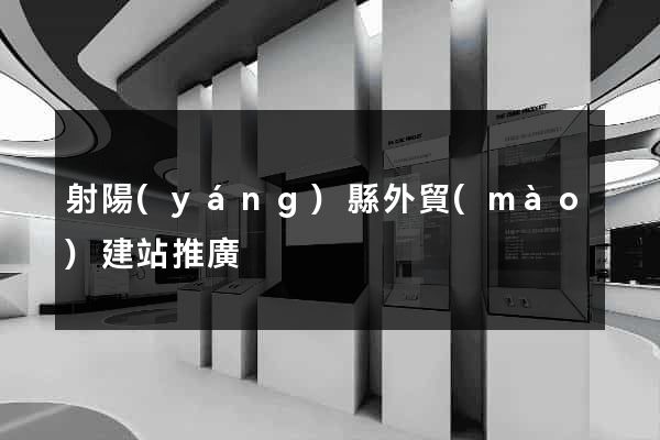 射陽(yáng)縣外貿(mào)建站推廣