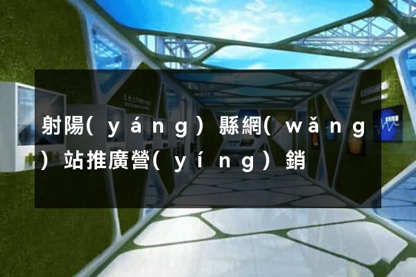 射陽(yáng)縣網(wǎng)站推廣營(yíng)銷