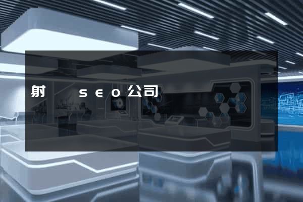 射陽縣seo公司