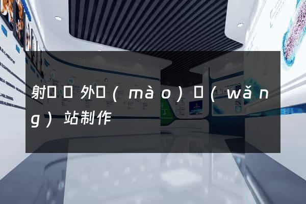 射陽縣外貿(mào)網(wǎng)站制作