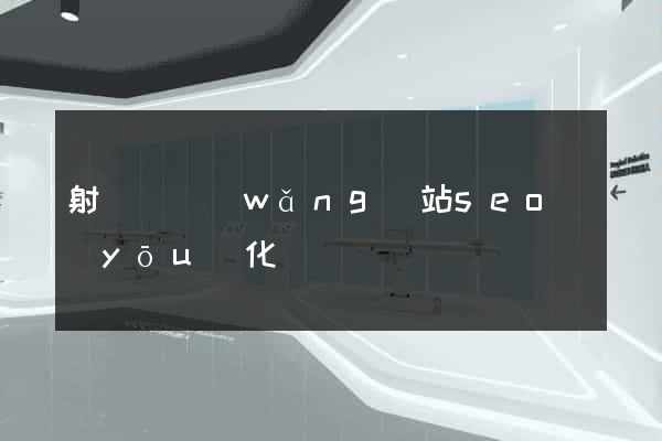 射陽縣網(wǎng)站seo優(yōu)化
