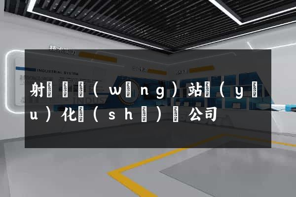 射陽縣網(wǎng)站優(yōu)化設(shè)計公司