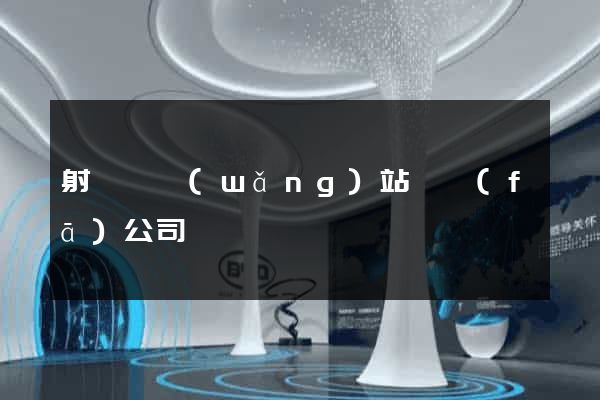 射陽縣網(wǎng)站開發(fā)公司