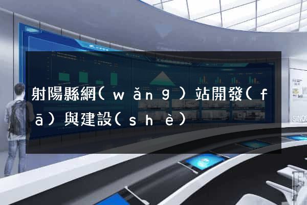 射陽縣網(wǎng)站開發(fā)與建設(shè)
