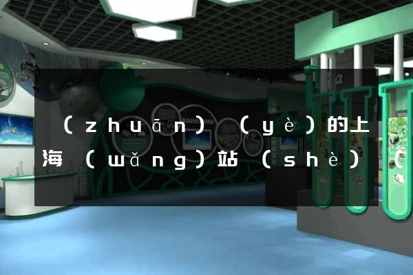 專(zhuān)業(yè)的上海網(wǎng)站設(shè)計(jì)