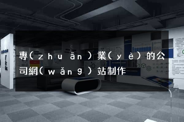 專(zhuān)業(yè)的公司網(wǎng)站制作
