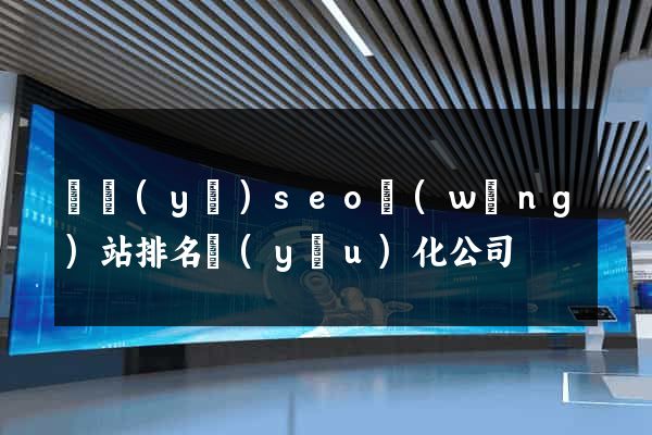 專業(yè)seo網(wǎng)站排名優(yōu)化公司