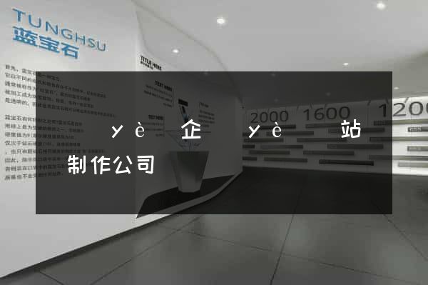 專業(yè)企業(yè)網站設計制作公司