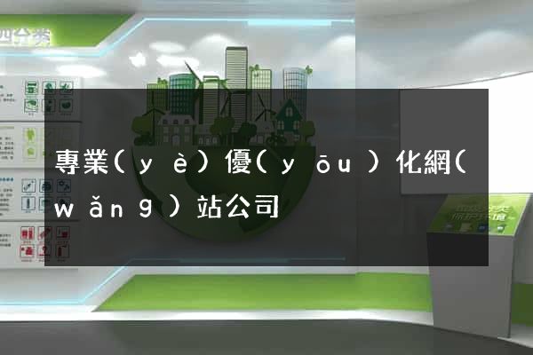 專業(yè)優(yōu)化網(wǎng)站公司