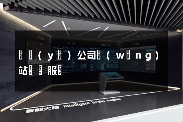 專業(yè)公司網(wǎng)站設計服務
