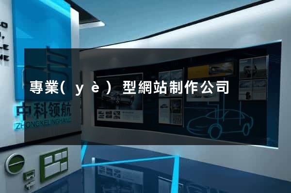 專業(yè)型網站制作公司