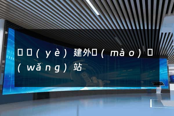 專業(yè)建外貿(mào)網(wǎng)站