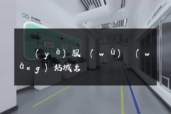專業(yè)服務(wù)網(wǎng)站域名