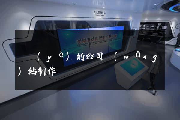 專業(yè)的公司網(wǎng)站制作