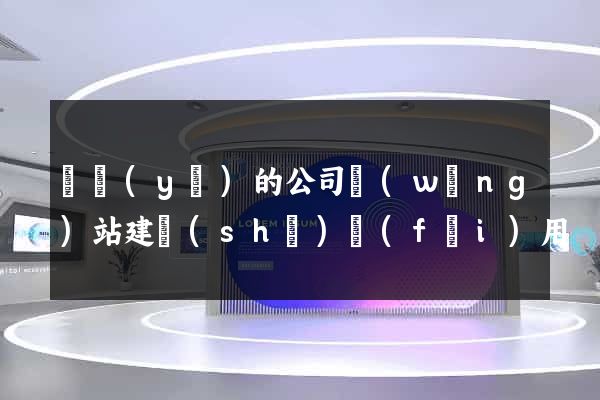 專業(yè)的公司網(wǎng)站建設(shè)費(fèi)用