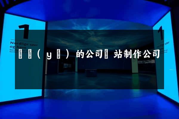 專業(yè)的公司網站制作公司