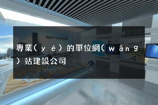 專業(yè)的單位網(wǎng)站建設公司
