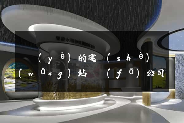 專業(yè)的建設(shè)網(wǎng)站開發(fā)公司