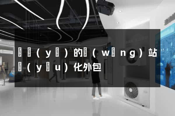 專業(yè)的網(wǎng)站優(yōu)化外包