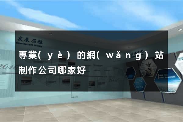 專業(yè)的網(wǎng)站制作公司哪家好