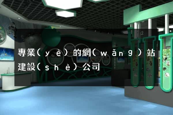 專業(yè)的網(wǎng)站建設(shè)公司