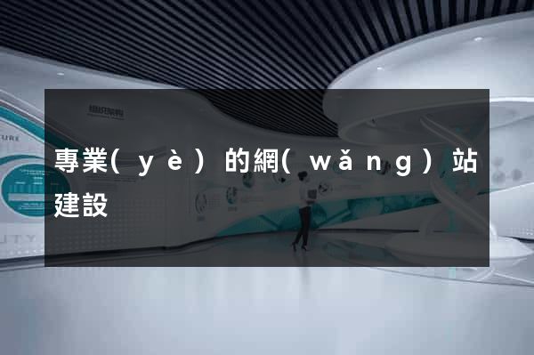 專業(yè)的網(wǎng)站建設