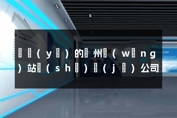 專業(yè)的鄭州網(wǎng)站設(shè)計(jì)公司