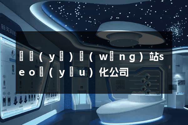 專業(yè)網(wǎng)站seo優(yōu)化公司