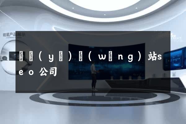 專業(yè)網(wǎng)站seo公司