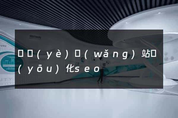 專業(yè)網(wǎng)站優(yōu)化seo