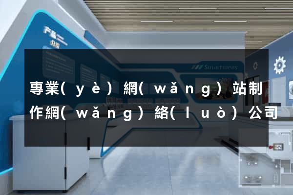 專業(yè)網(wǎng)站制作網(wǎng)絡(luò)公司