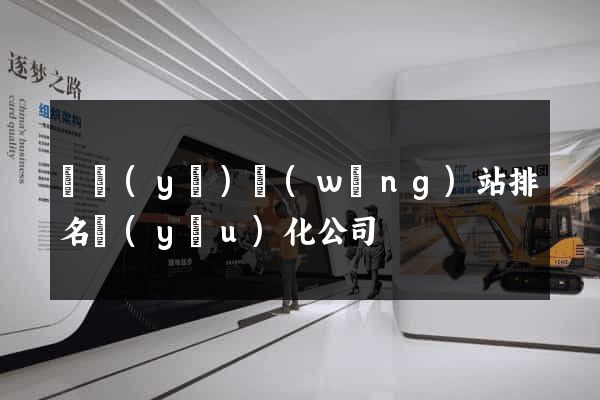 專業(yè)網(wǎng)站排名優(yōu)化公司