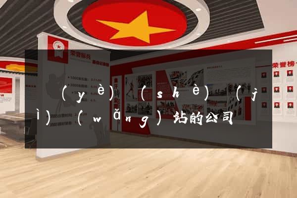 專業(yè)設(shè)計(jì)網(wǎng)站的公司