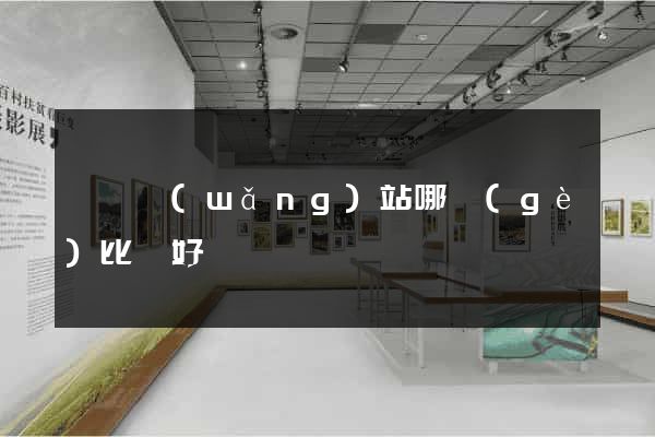 尋親網(wǎng)站哪個(gè)比較好