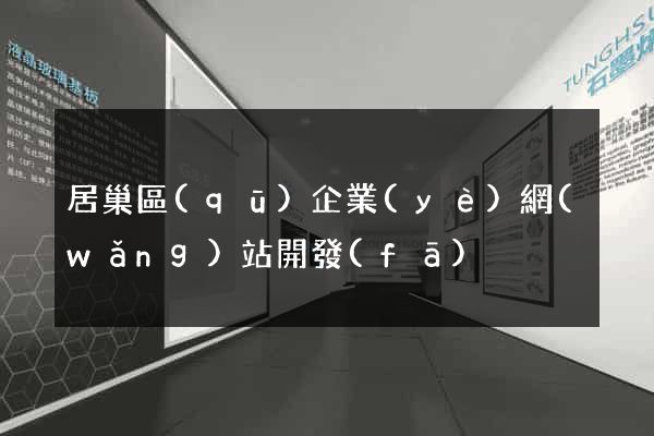 居巢區(qū)企業(yè)網(wǎng)站開發(fā)