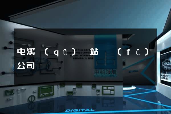 屯溪區(qū)網站開發(fā)公司