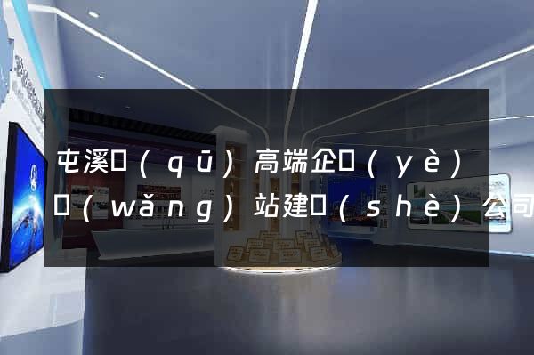 屯溪區(qū)高端企業(yè)網(wǎng)站建設(shè)公司