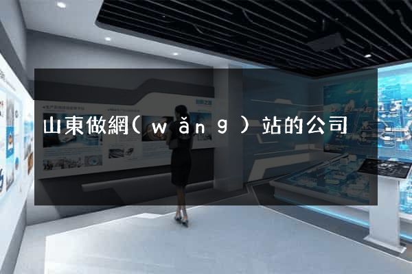 山東做網(wǎng)站的公司